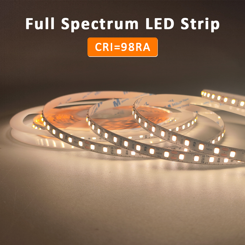 Book Light Flexible - 5M 10M 24V 2835 Full Spectrum