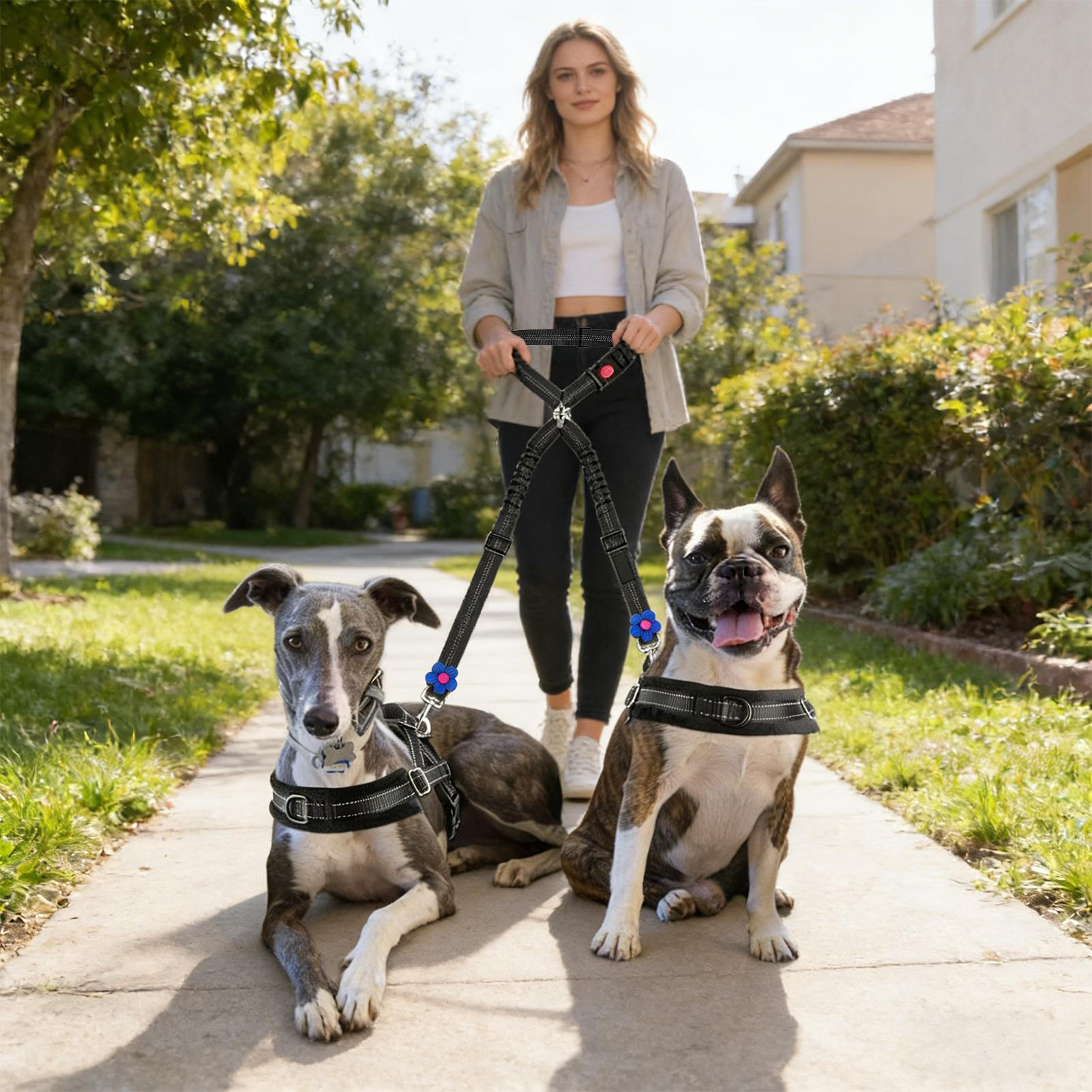 Pet Seat Belt For Dogs Animals - Travel Accessories For Road Trip ulasan dan harga