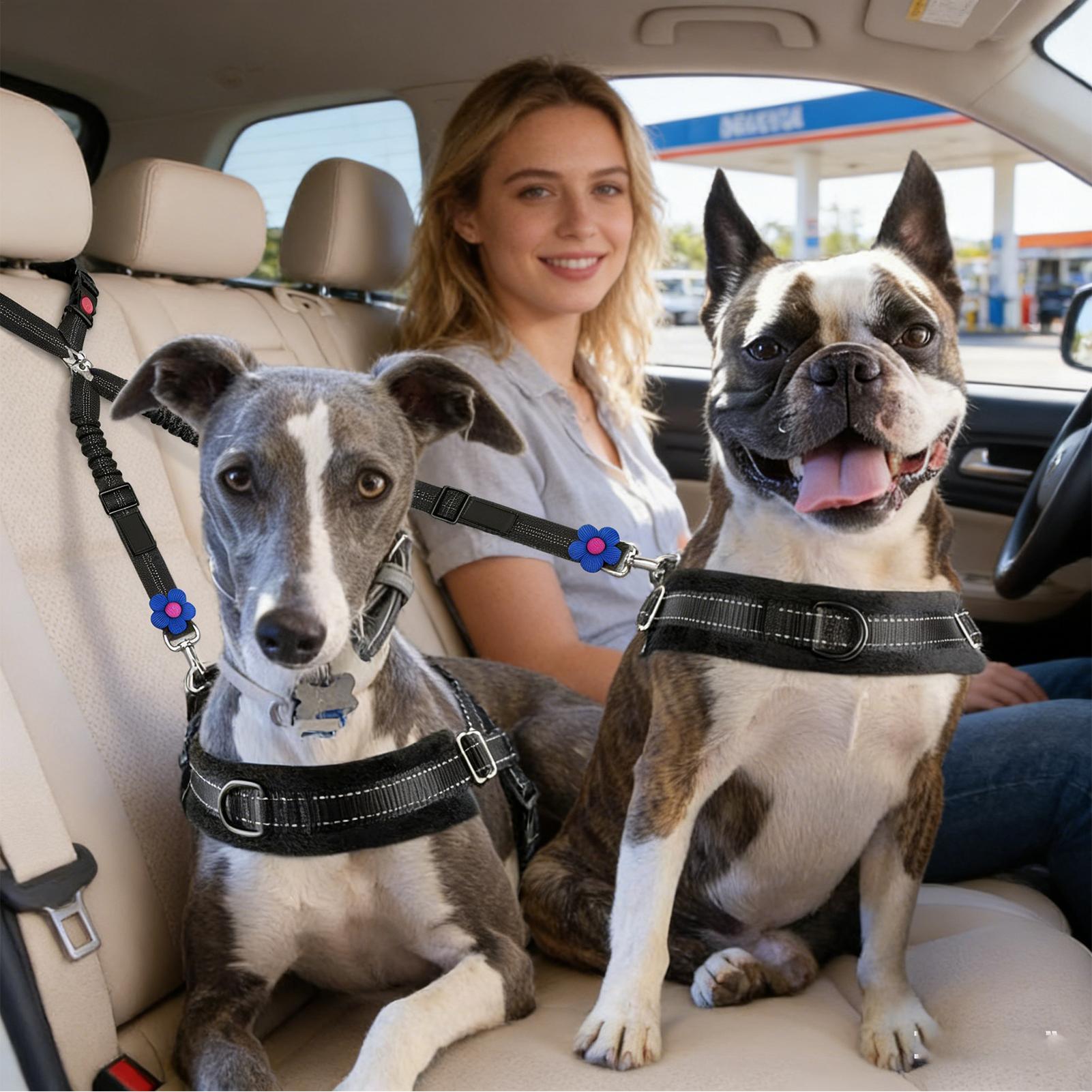 Pet Seat Belt For Dogs Animals - Travel Accessories For Road Trip ulasan dan harga