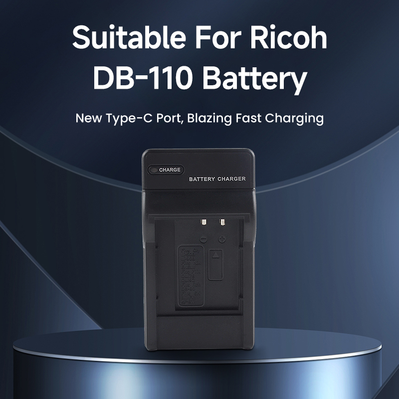 DB-110 Type-C Fast Charge Batt - Travel Accessories Inc ulasan dan harga