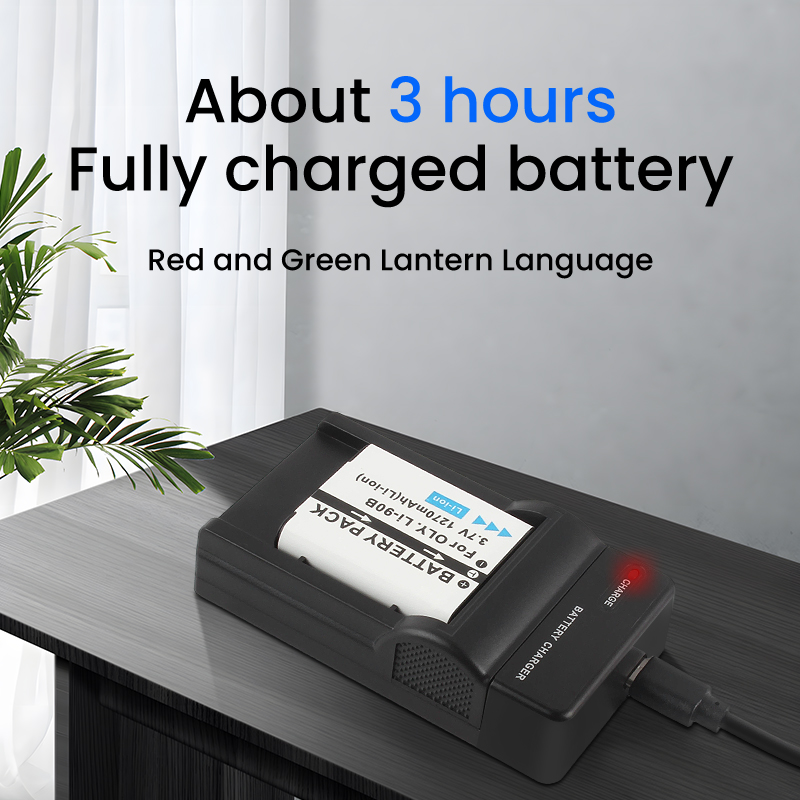 DB-110 Type-C Fast Charge Batt - Travel Accessories Inc ulasan dan harga